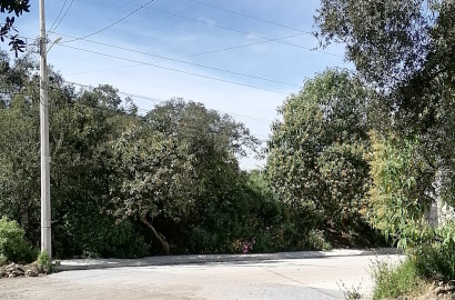 Terreno En Ocoyoacac