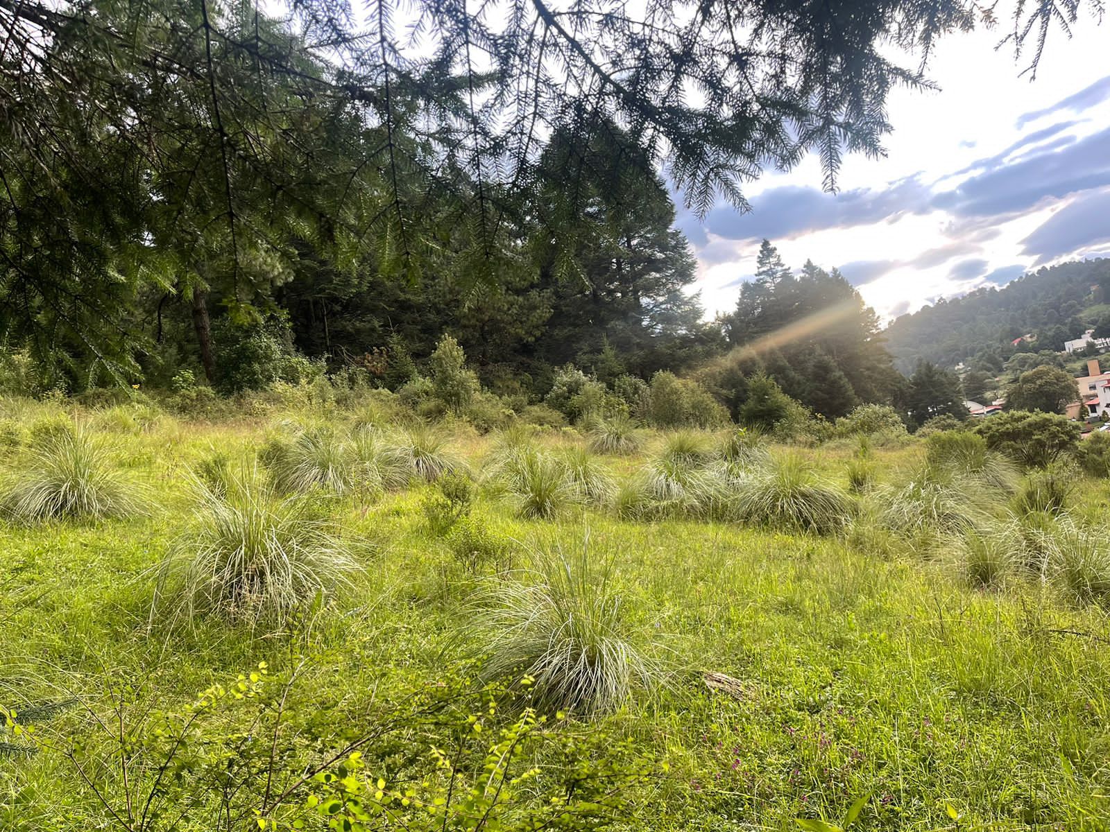 8 Hectáreas de Terreno en Rancho Capacho