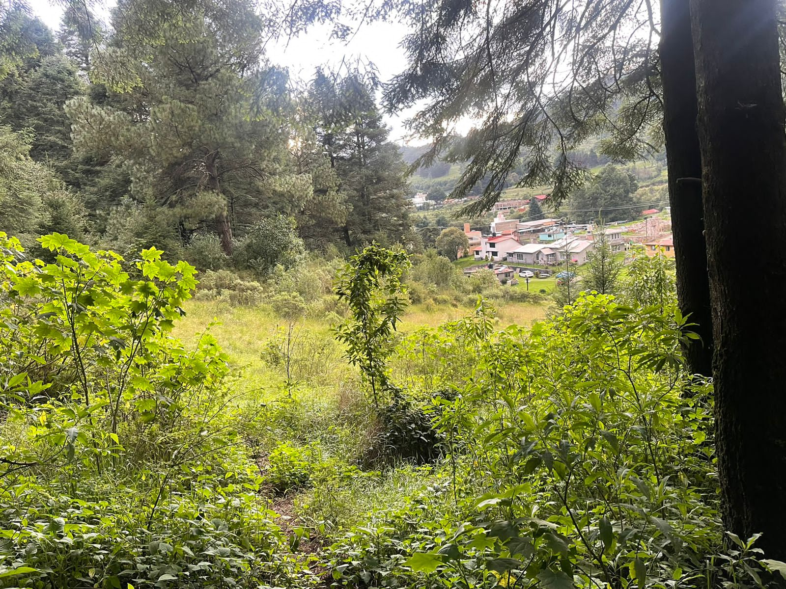 8 Hectáreas de Terreno en Rancho Capacho