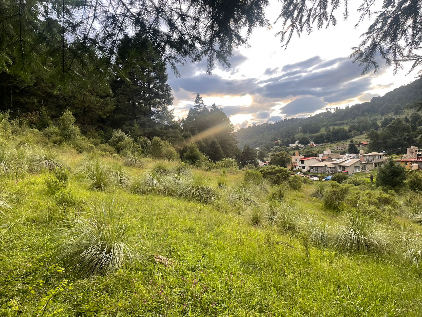 8 Hectáreas de Terreno en Rancho Capacho