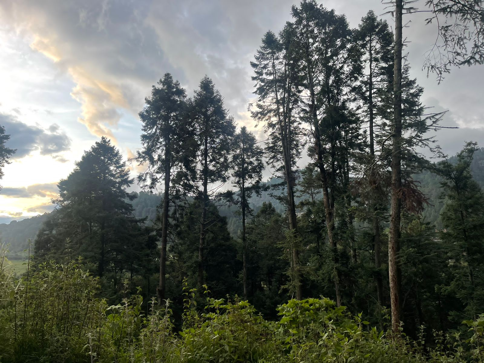 8 Hectáreas de Terreno en Rancho Capacho